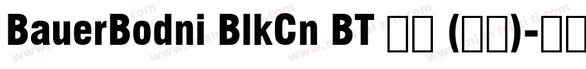 BauerBodni BlkCn BT 普通 (西方)字体转换